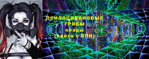 гашик Богородицк