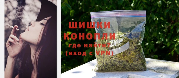 твердый Богородск