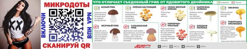 Псилоцибиновые грибы Psilocybine cubensis  Пестово 